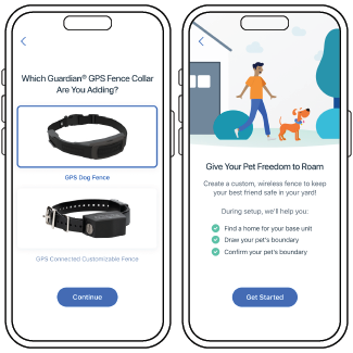 Product Selected and Overview