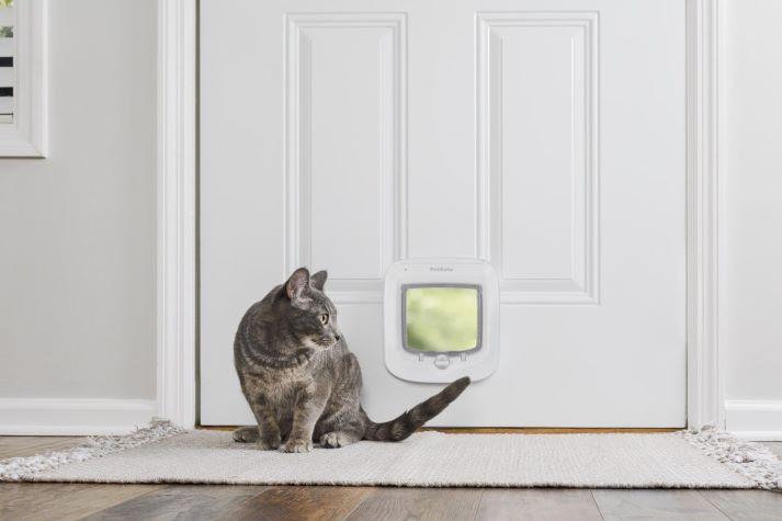 Cat and Cat Door