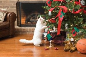 Christmas Tree Bad Cat 2