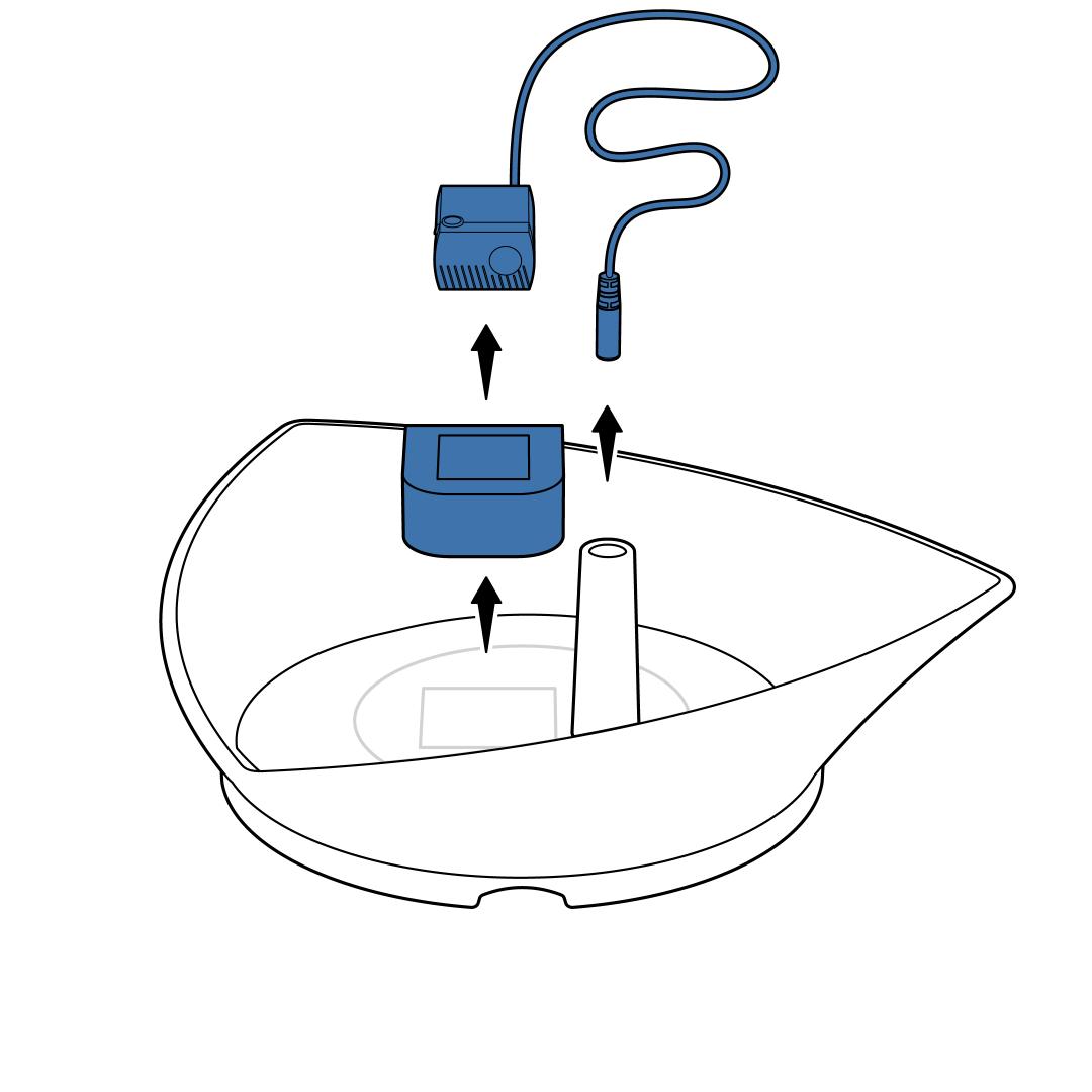 Remove Pump, Cord, and Foam Filter