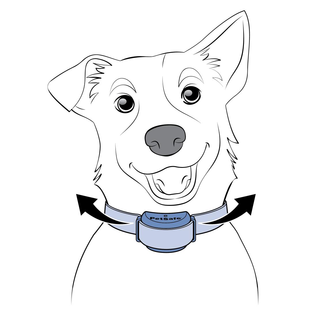 Check Tightness by Shifting on Neck