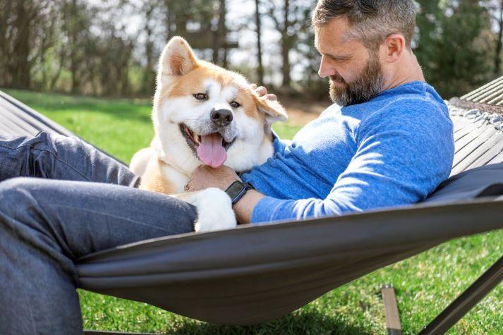 Pet parent and dog on hammock