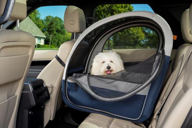 White dog sitting in Collapsible Travel Crate secured in back seat of car