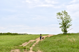 Shelby-Farms-Park-Outback-Dog-Park2