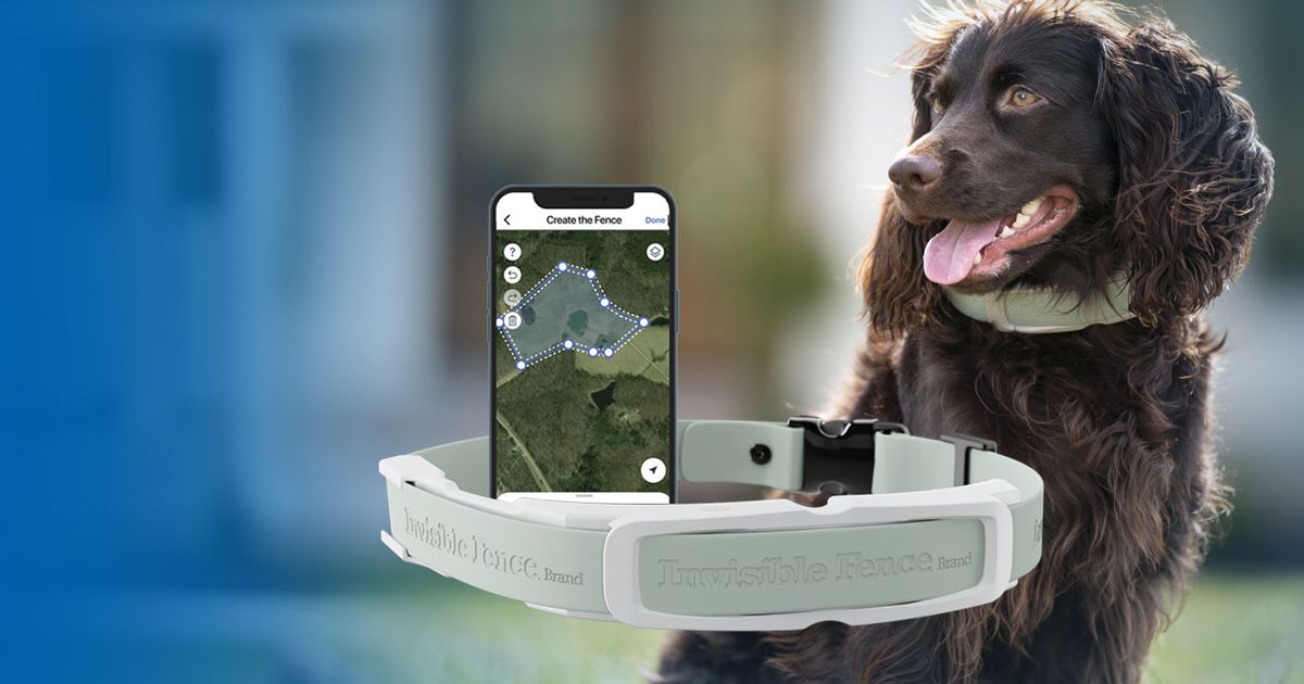 Support and How-to Articles | Invisible Fence® GPS Collar