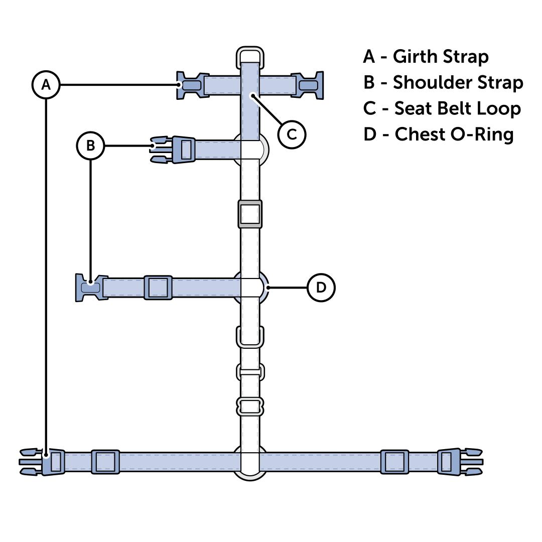 Harness Laid Flat