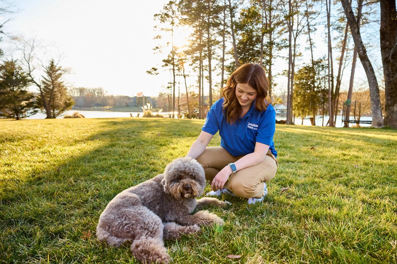 Invisible fence trainer works with poodle wearing GPS dog fence