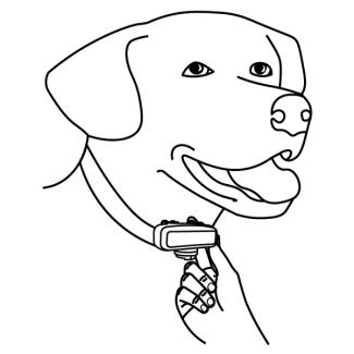 one finger is fitted between the probe and your pet’s neck