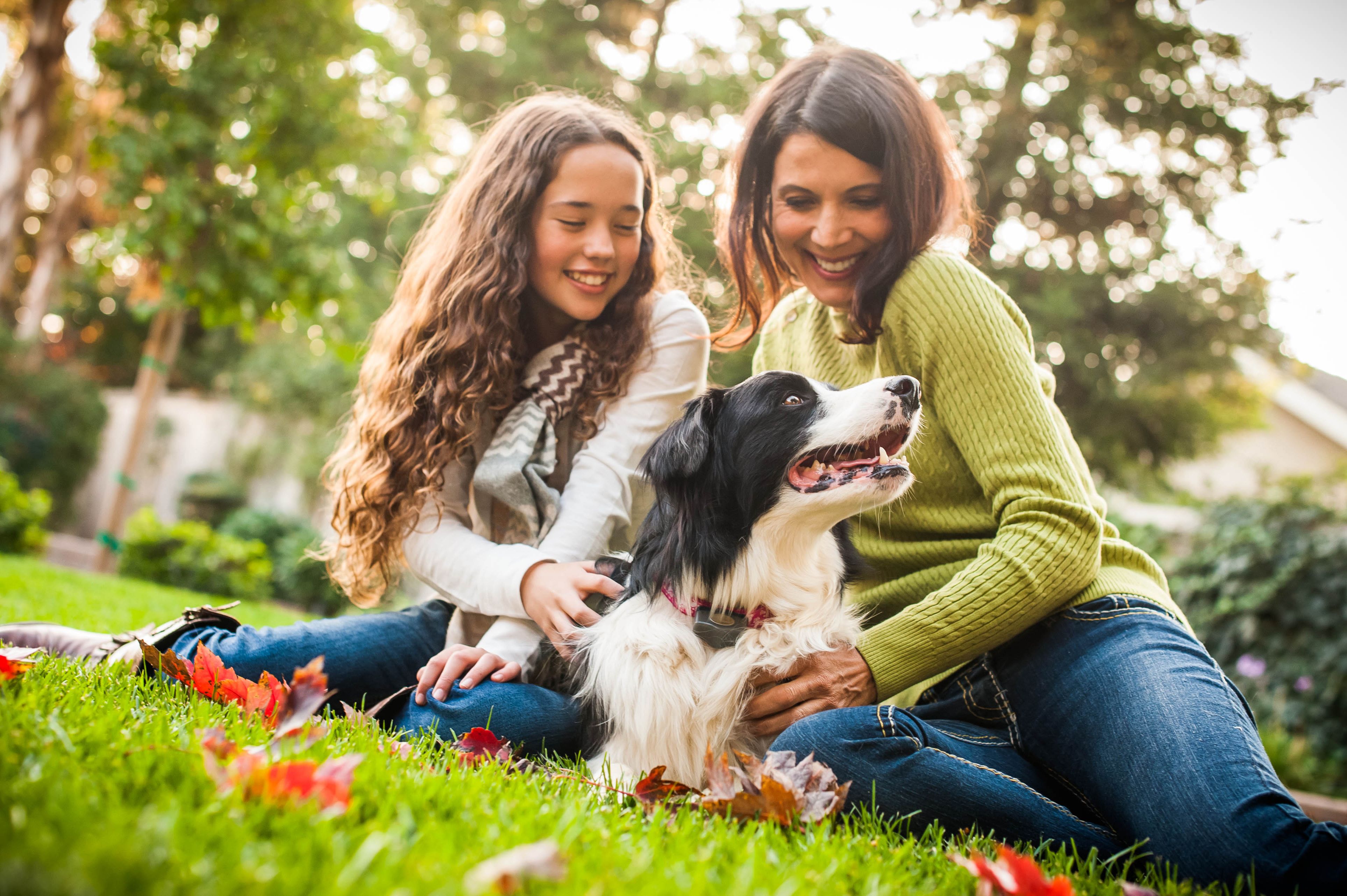 Dog runs and plays freely in yard while family observes confidently.