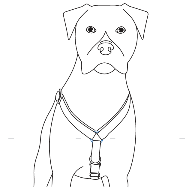 how-to-fit-3-in-1-harness-illustration2