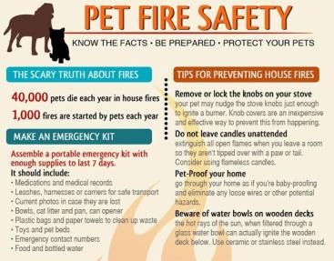 Pet Fire Safety Infographic