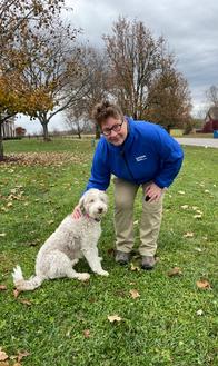 invisible fence trainer works with a poodle in the yard