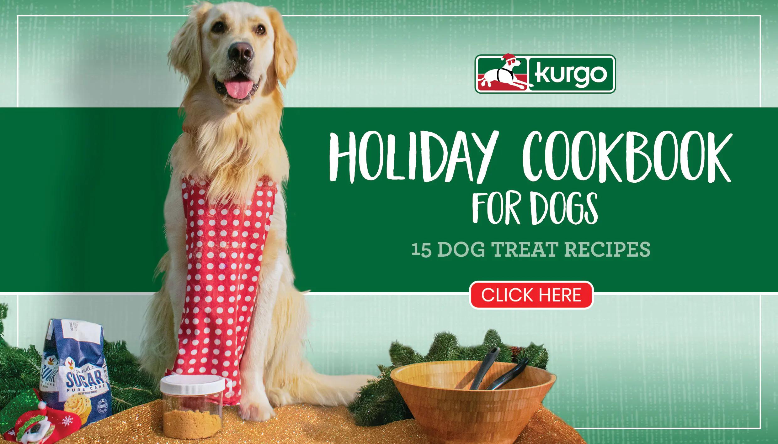 Dog Holiday Cookbook