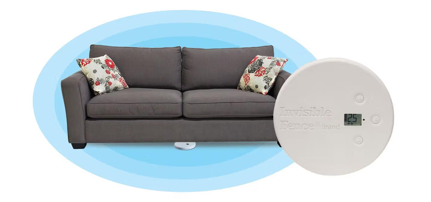 Round, white Indoor dog fence pictured under gray couch 