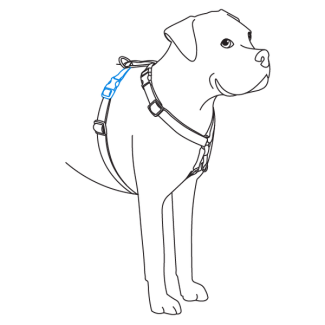 adjust-girth-strap-petsafe-sure-fit-harness-illustration2