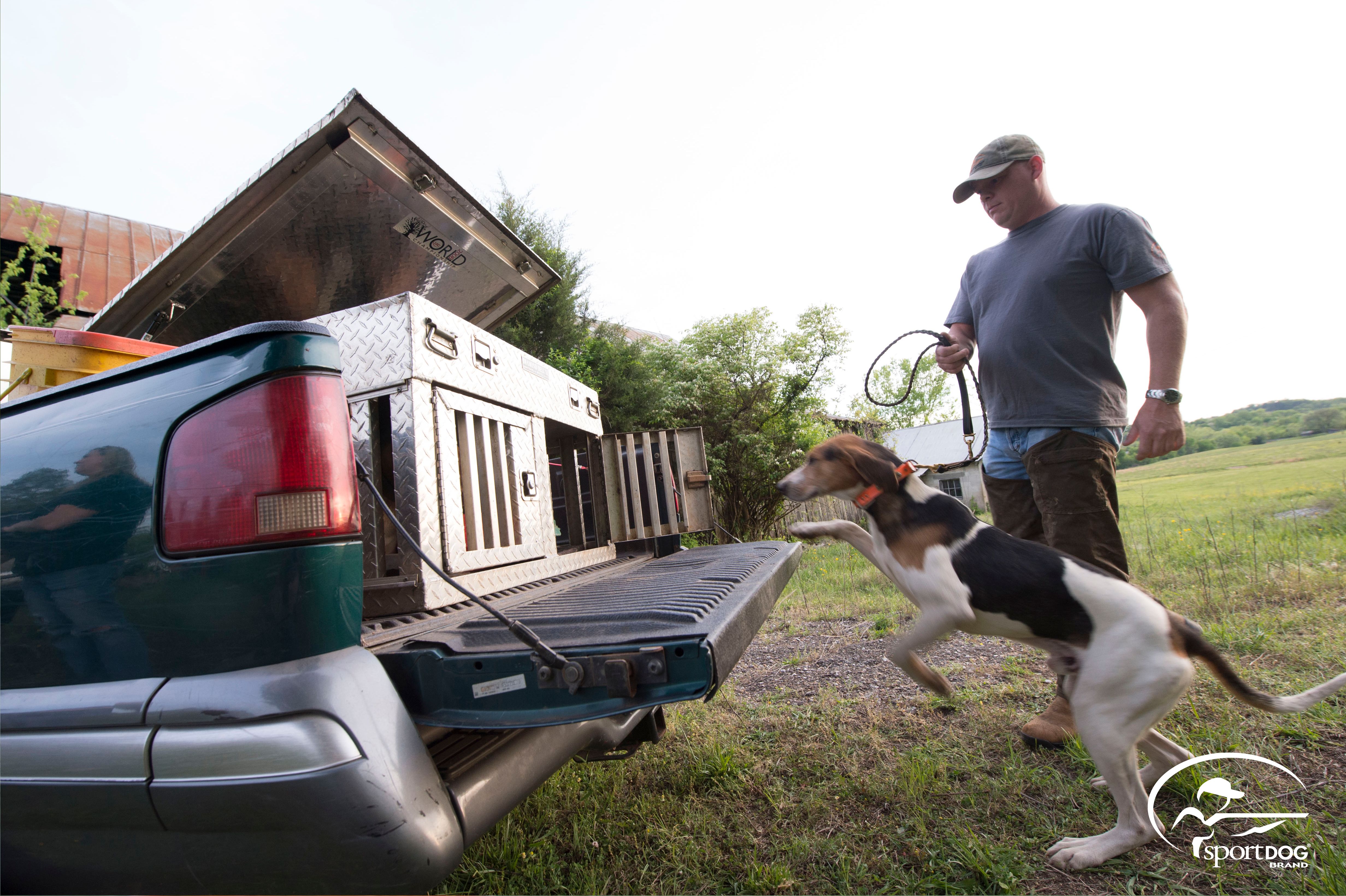 Coon hunting discount with hounds