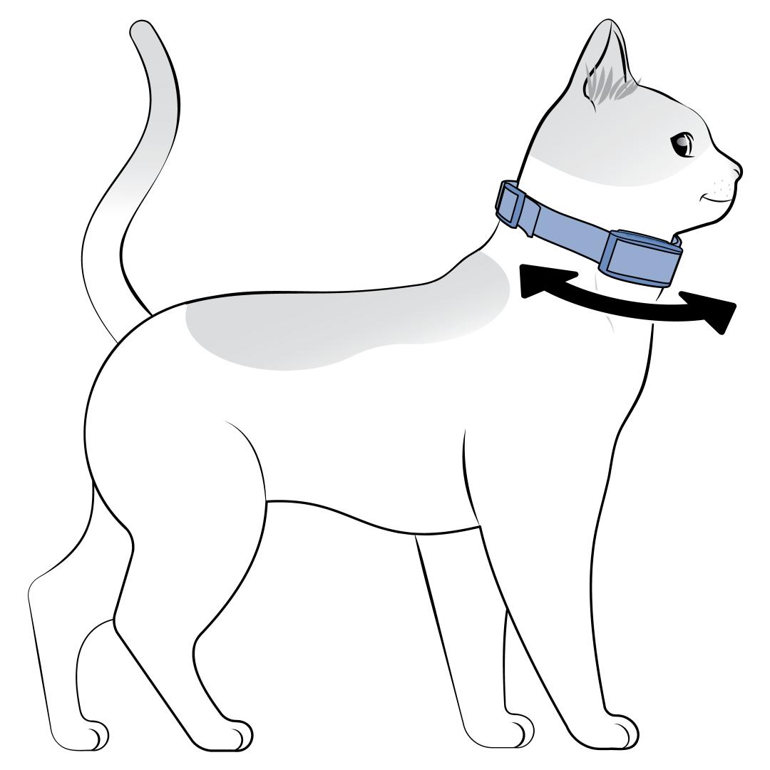 Move Collar Side To SIde On Cat