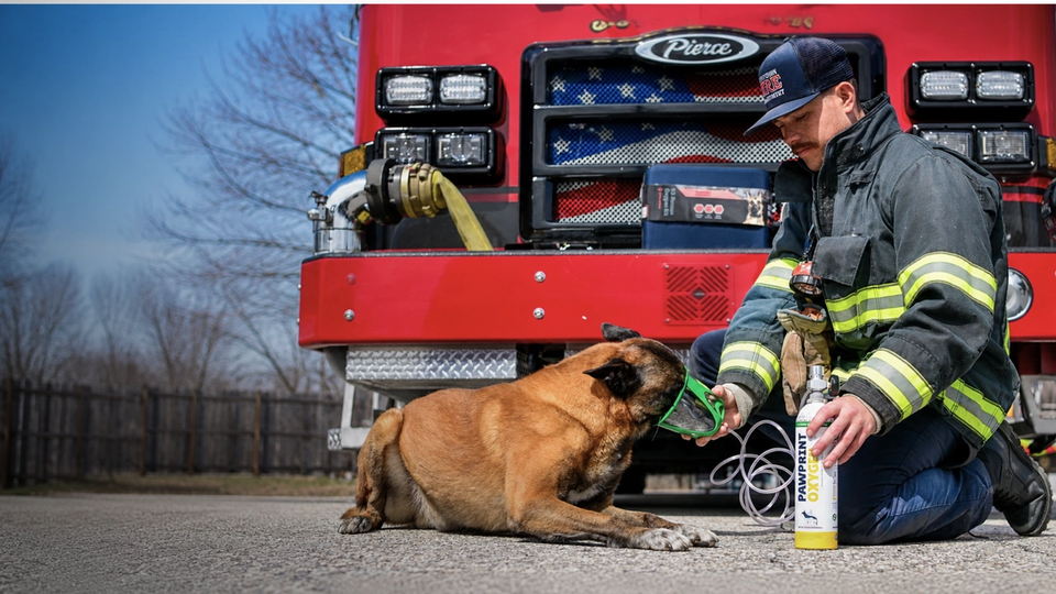 Dog receives oxygen from fire fighter after suffering from smoke inhalation