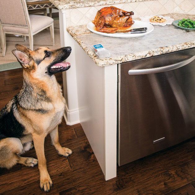 9 tips to protect your pets during the crowded, hectic holidays