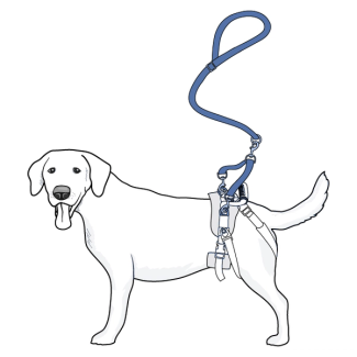 size-small-care-lift-rear-support-harness-illustration