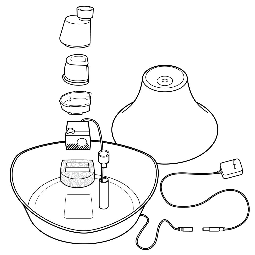Exploded View