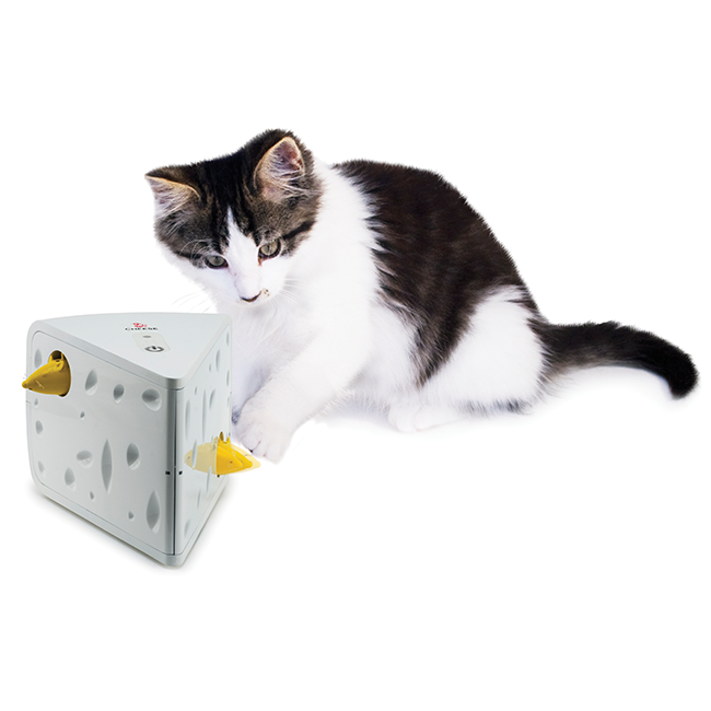 automatic cat toys