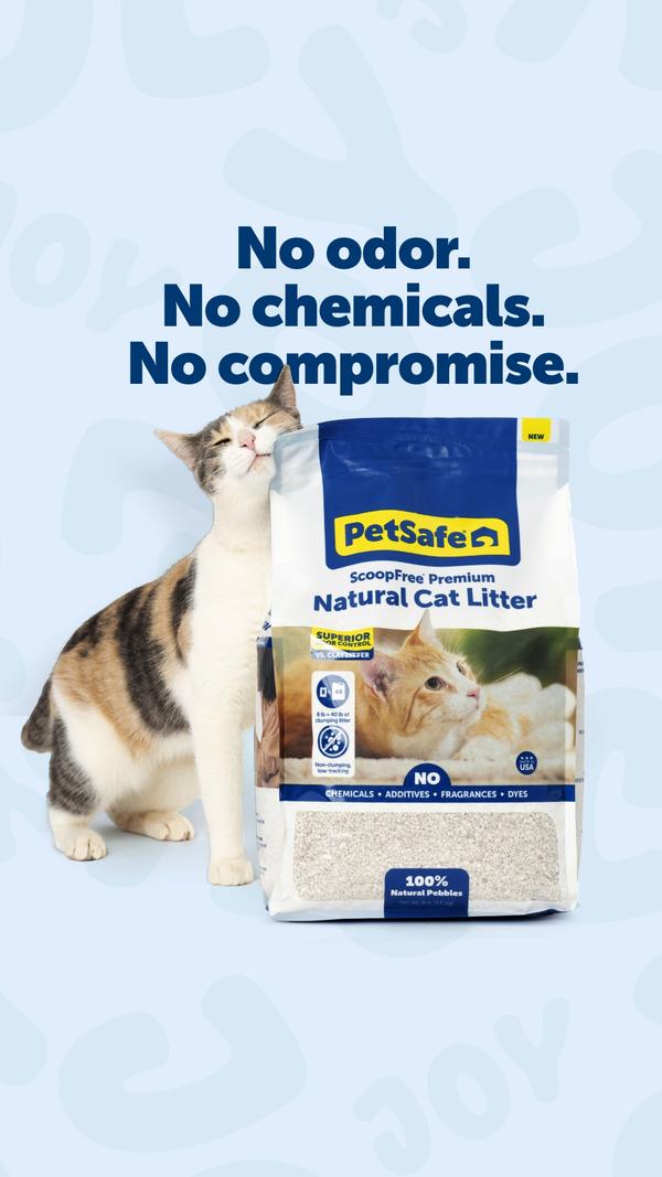marketing callout