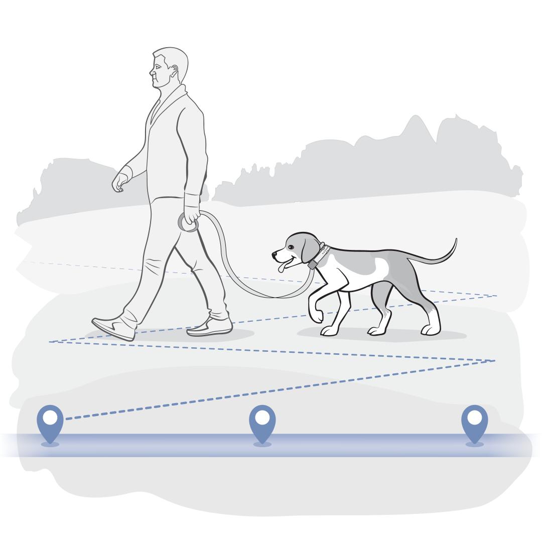 Explore and Learn the Pet Area