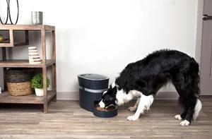 Pet Food: The Good, the Bad, and the Healthy