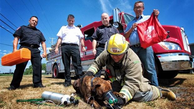 first responders using pet oxygen mask on dog in front of fire truck 