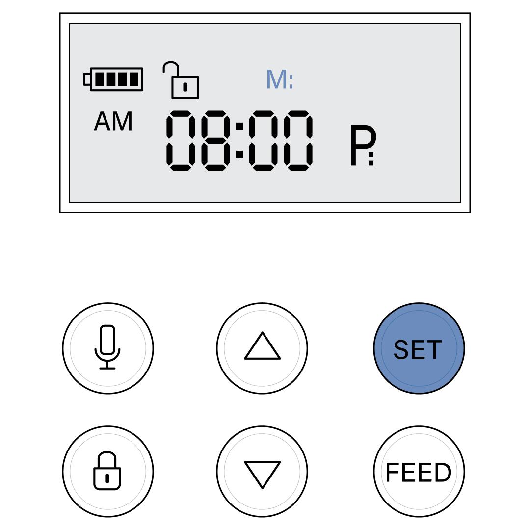 M Field And Set Button