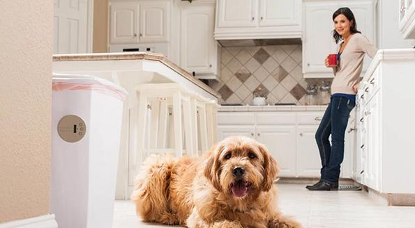 dog patiently avoiding trash can with invisible fence indoor shield