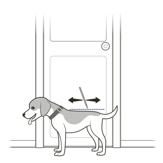 Measure pet's height