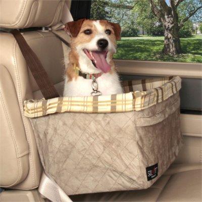 Travelling with Dogs