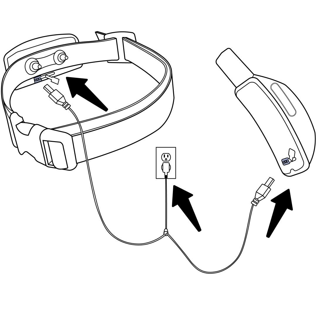 Charge collar and remote