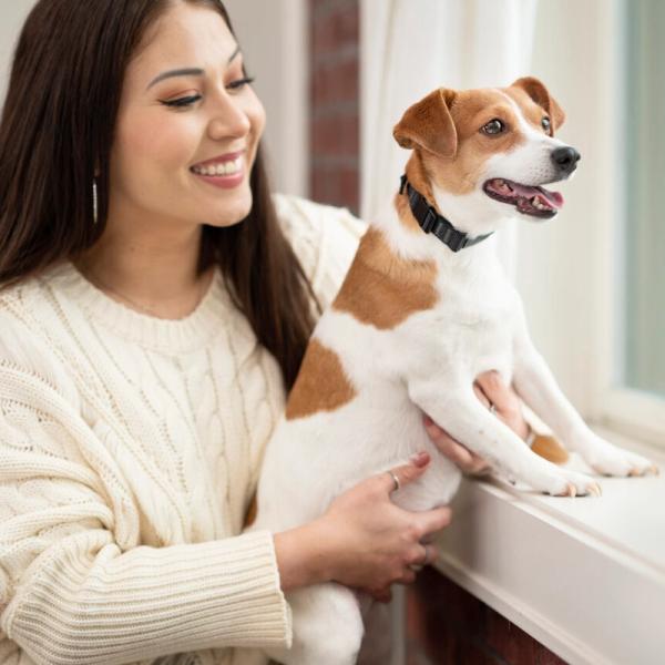 Why is Your Dog Barking?