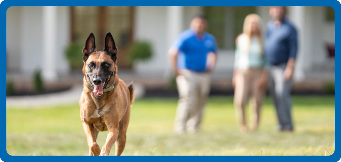 Dog running in yard with Invisible Fence® Collar on while trainer and owners watch in the background