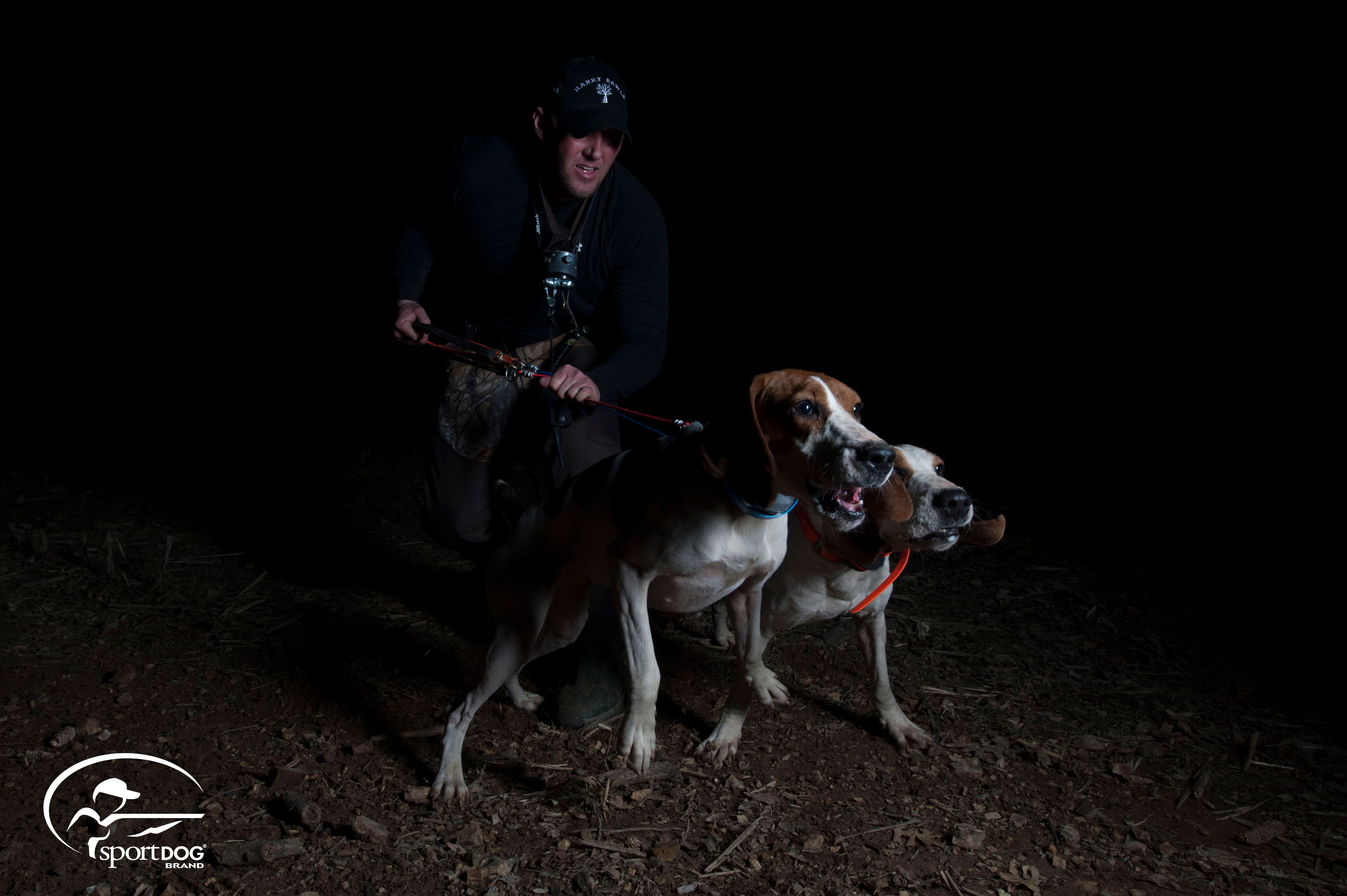 Coon hunting clearance collars