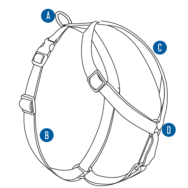 understanding-petsafe-sure-fit-harness-diagram-illustration
