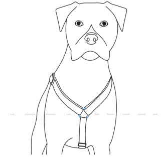 adjust-shoulder-strap-petsafe-sure-fit-harness-illustration2