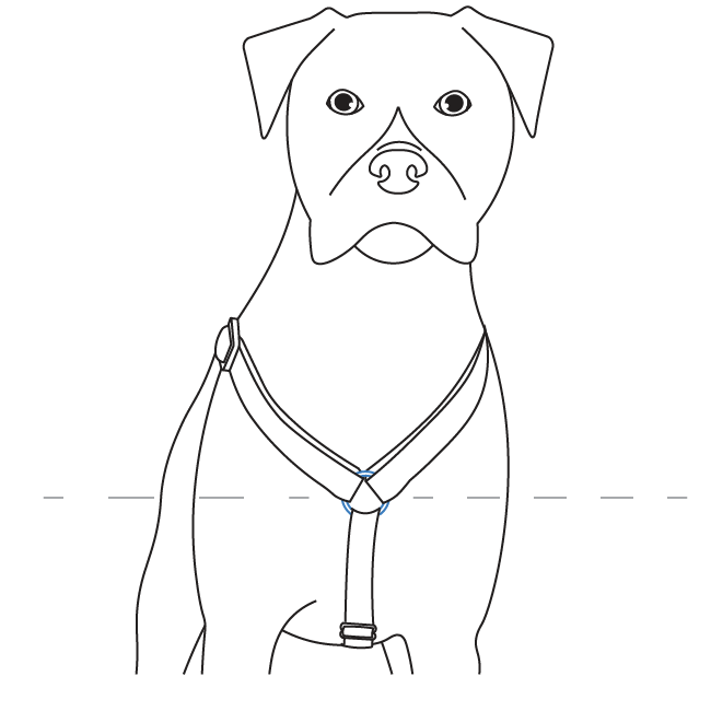 adjust-shoulder-strap-petsafe-sure-fit-harness-illustration2