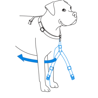 adjust-girth-strap-petsafe-sure-fit-harness-illustration1