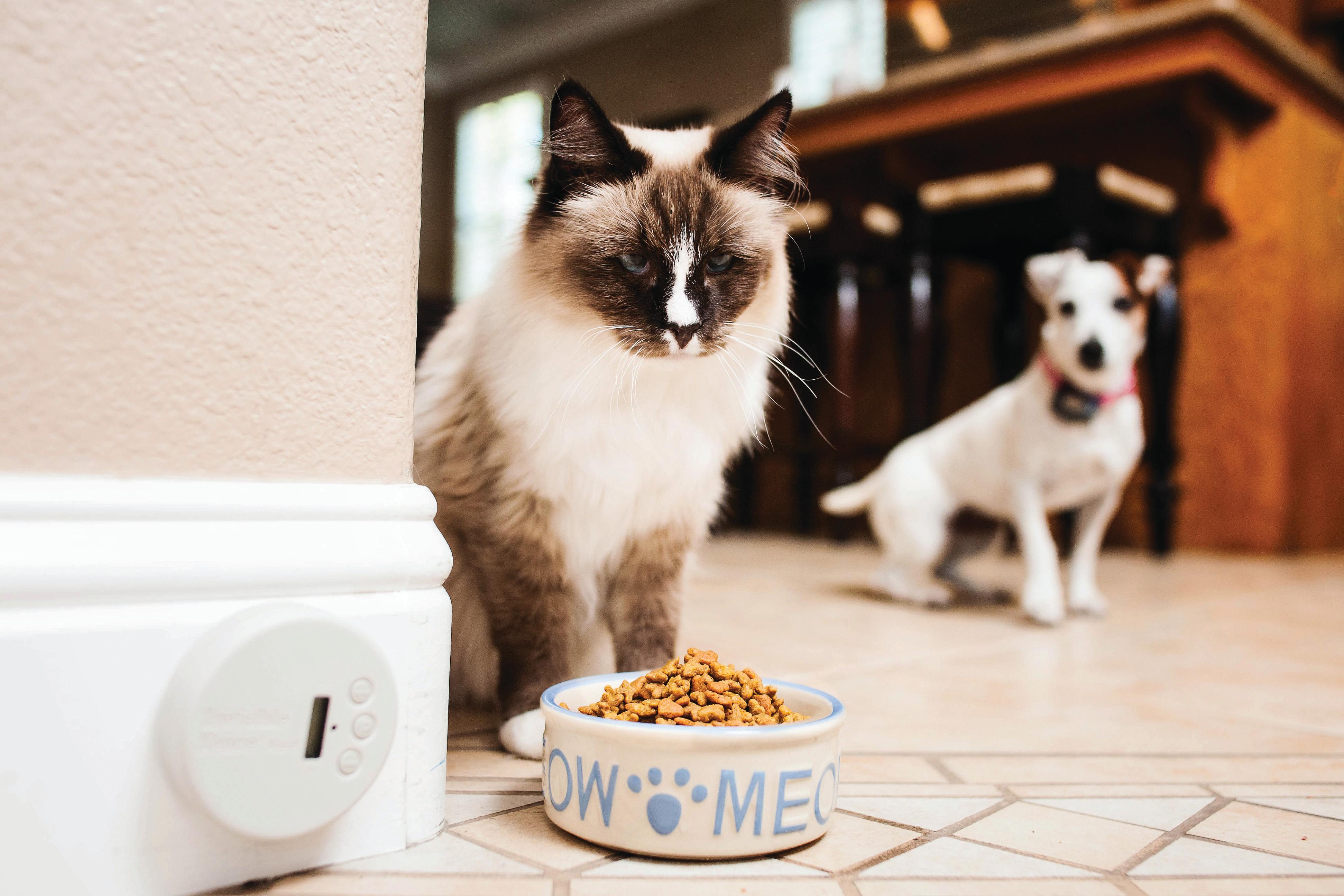 Different Rules for Different Pets™