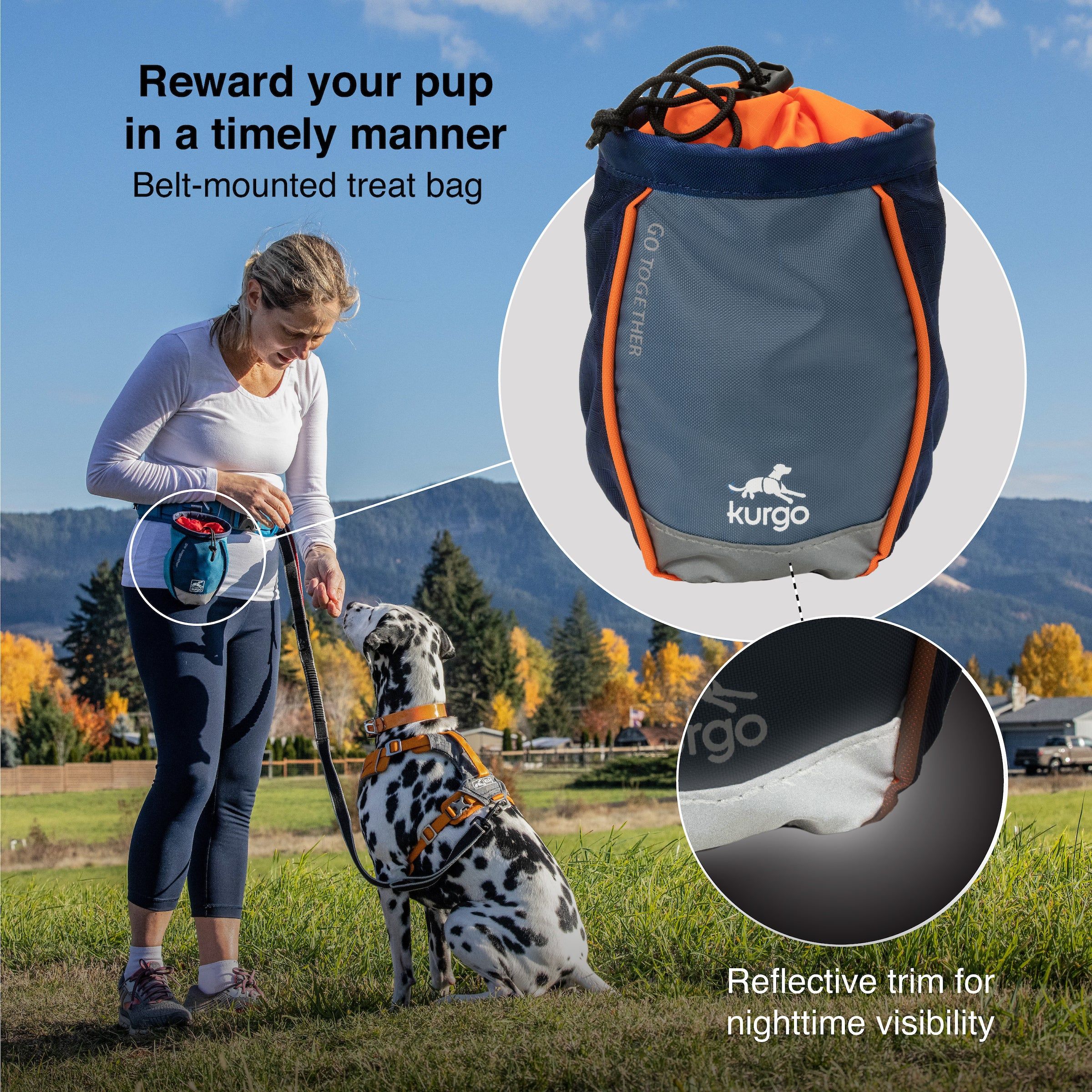 Go Stuff It Treat Bag