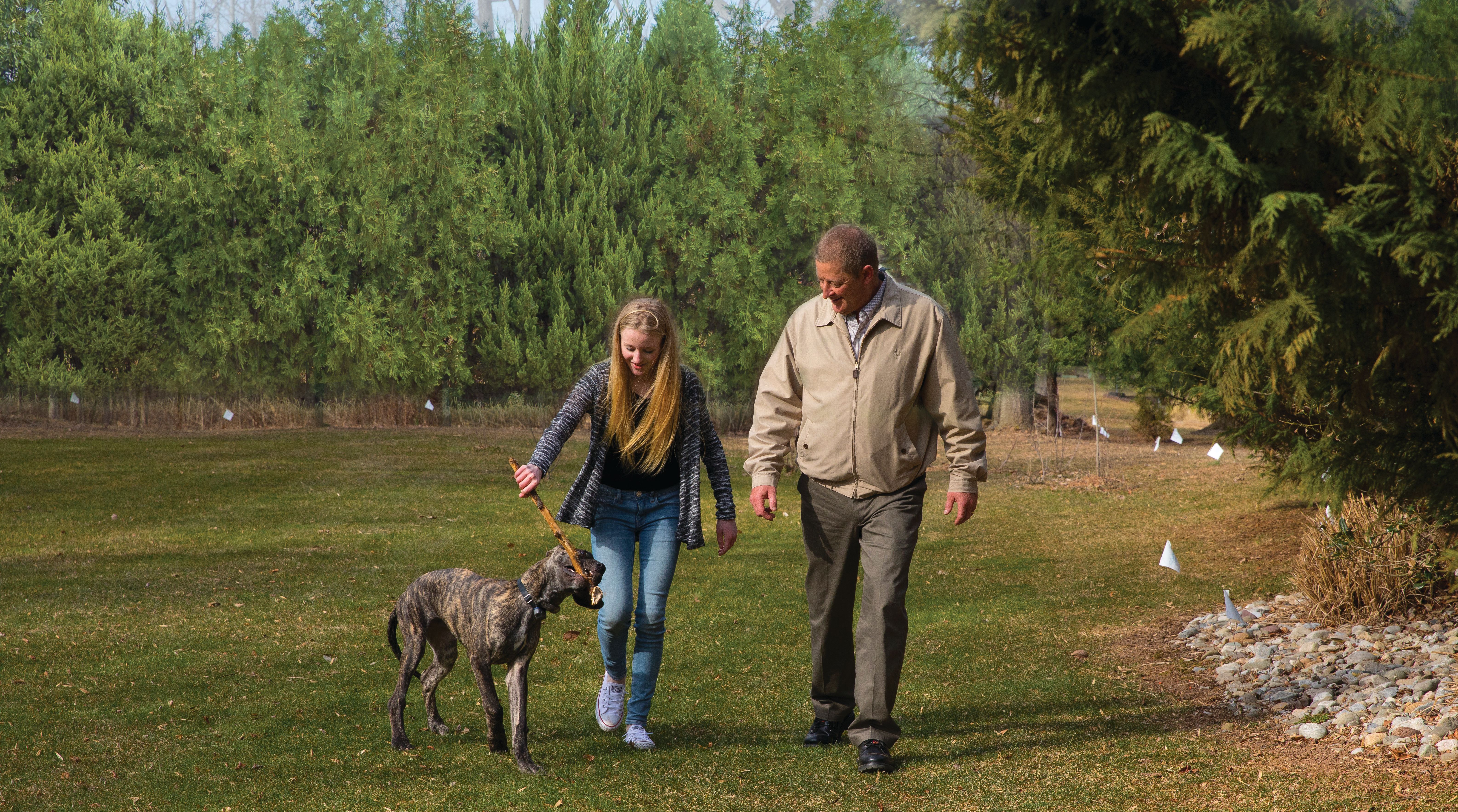 dog plays with owners in a yard with an invisible fence