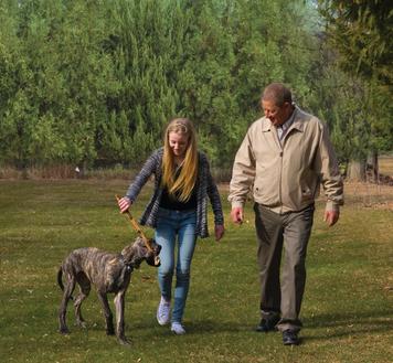dog plays with owners in a yard with an invisible fence