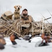 Je suis chasseur de gibier d'eau depuis mon jeune âge. Ayant grandi dans une région agricole du centre-sud du Minnesota avec le labrador jaune de la famille.
Commencé par de petites chasses en étang et maintenant en eaux profondes pour ces canards plongeurs.
Juste après le lycée, j'ai rejoint la famille Dokken à Oak Ridge Kennels à Northfield...