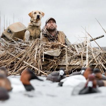 I have been a waterfowl hunter since a young age. Growing up in farm country in south central Minnesota with the family yellow lab.

	Starting with small pond hunts and now big water for those diver ducks.

	Just after high school I joined the Dokken Family at Oak Ridge Kennels in Northfield...