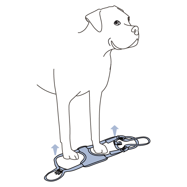 how-to-use-happy-ride-safety-harness-fit-harness-steps-illustration1
