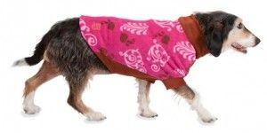 Making sure your dog is acclimated and comfortable with the jacket is the best thing you can do!